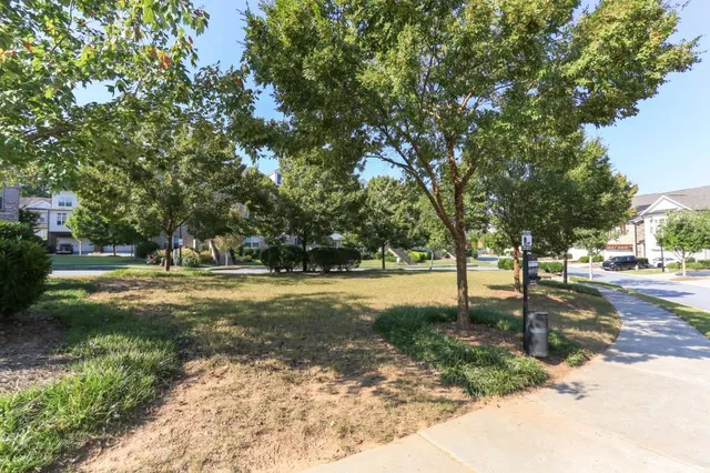 a view of a park with large trees