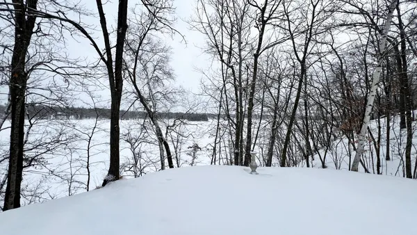 $789,000 | 31598 Southwest Pickerel Lake Road, Detroit Lakes, MN 56501