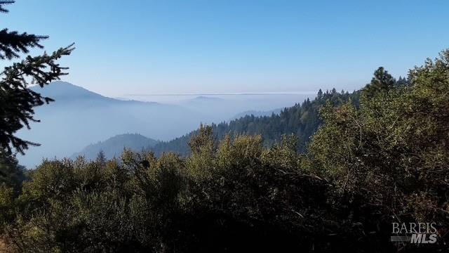 a view of a lake with a mountain in the background