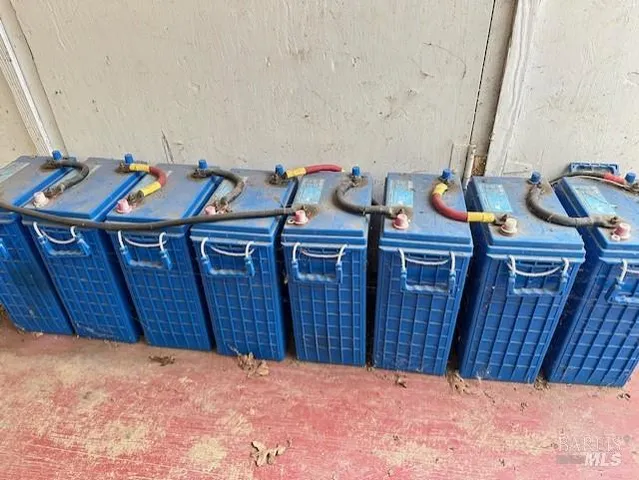 a view of a forest with a street