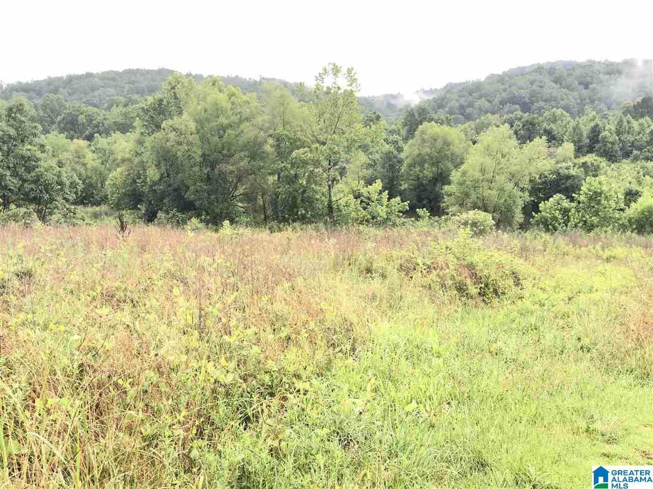 0 Old Downey Mill Road Anniston, AL 36207 - Photo 11 of 28
