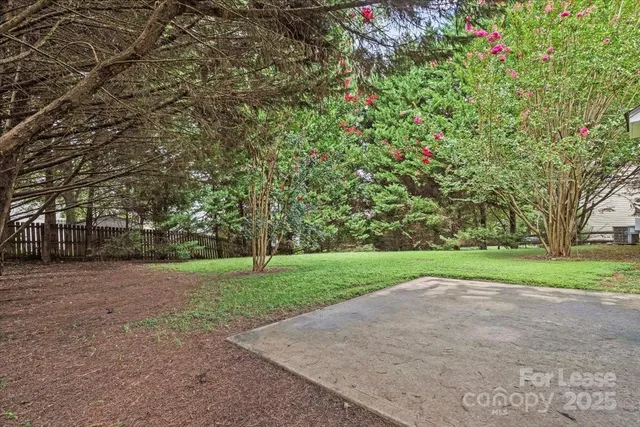 a view of a park with large trees