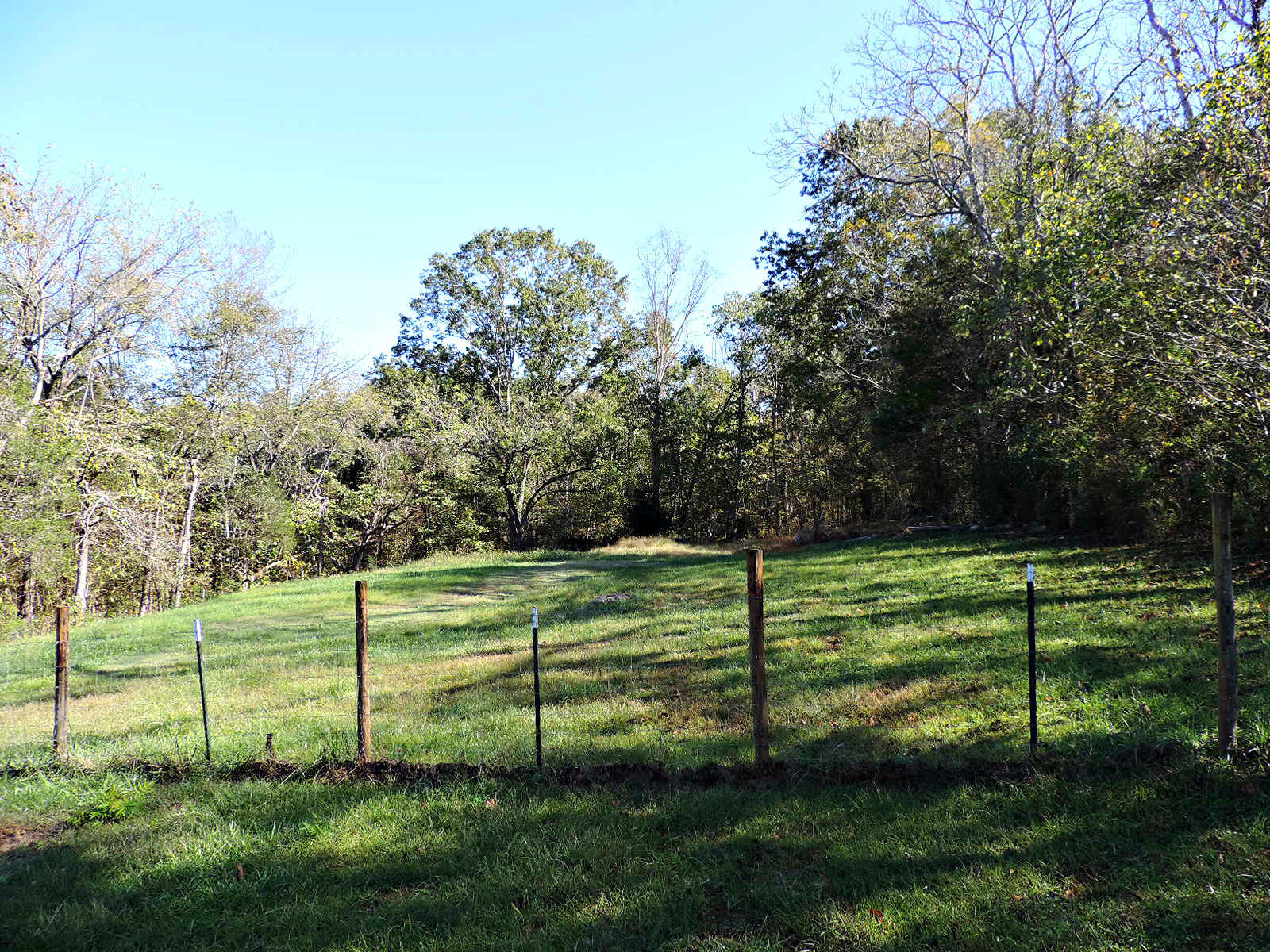 269 Knob Road Rutledge, TN 37861 - Photo 15 of 31 DSCN2558