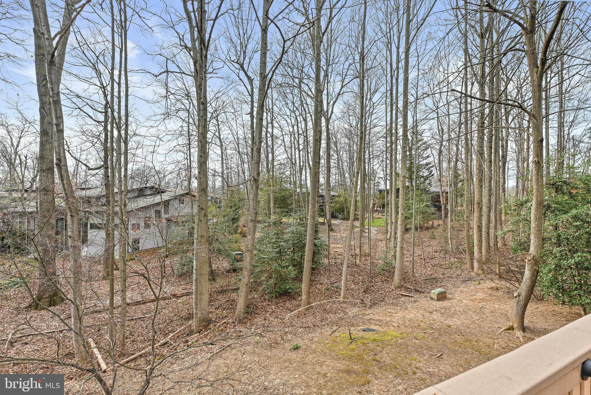 11591 Lake Newport Road Reston, VA 20194 - Photo 67 of 72