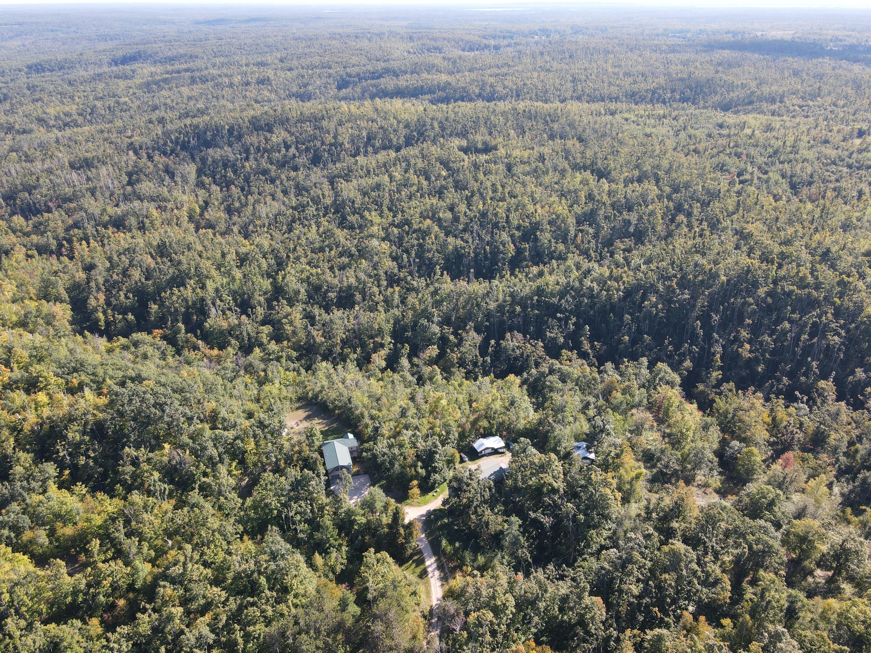 5917 Gamble Road Atlanta, MI 49709 - Photo 85 of 98 DJI_0739