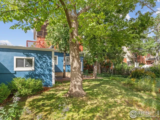 a front view of a house with a tree