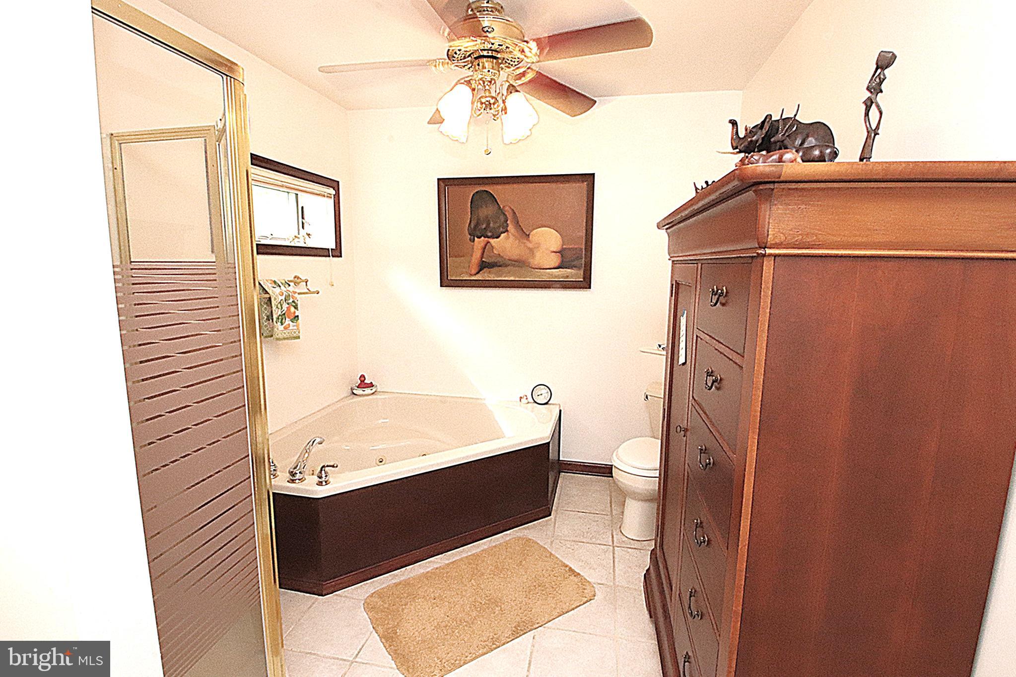 1141 Weverton Road Knoxville, MD 21758 - Photo 14 of 28 Bathroom