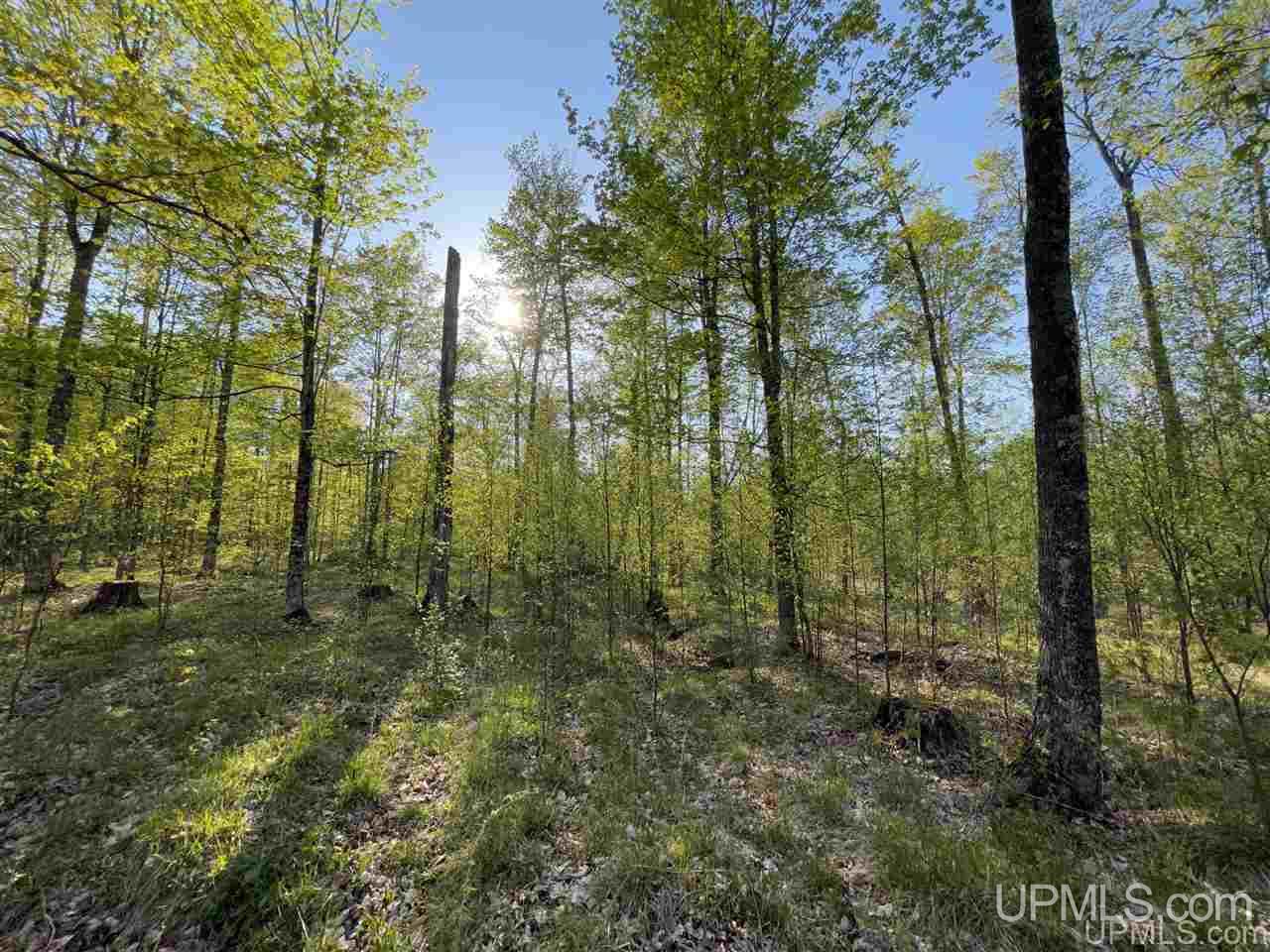 Tbd Sand Road, Unit 1 Powers, MI 49874 - Photo 41 of 47 Gallery Image 41