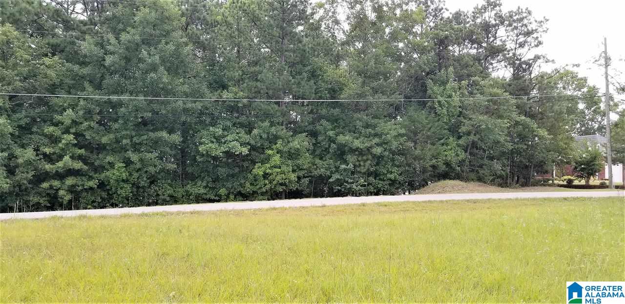 0 Briar Cliff Road, Unit 12 Rainbow City, AL 35906 - Photo 27 of 29