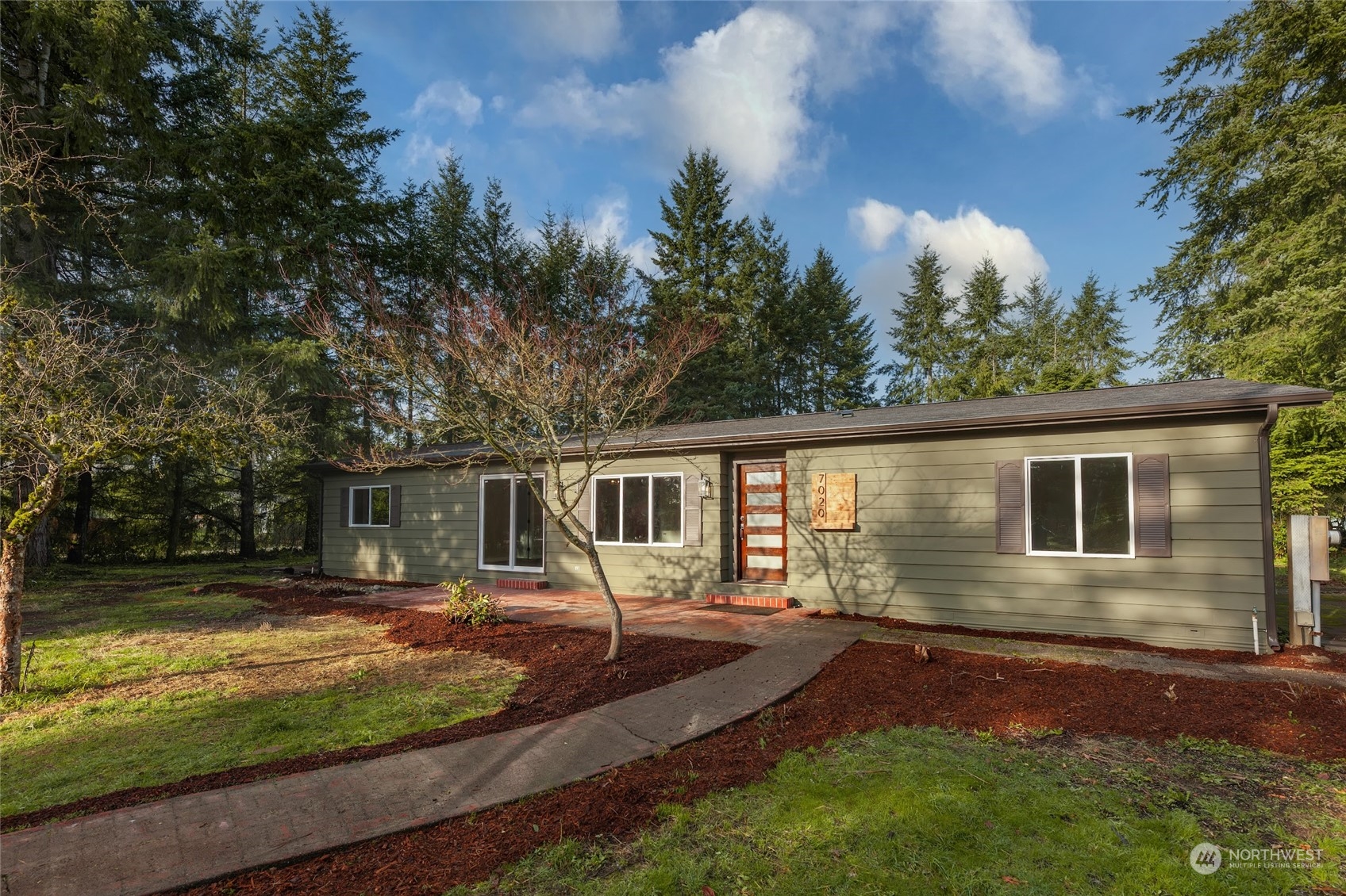 a view of a backyard with a large tree