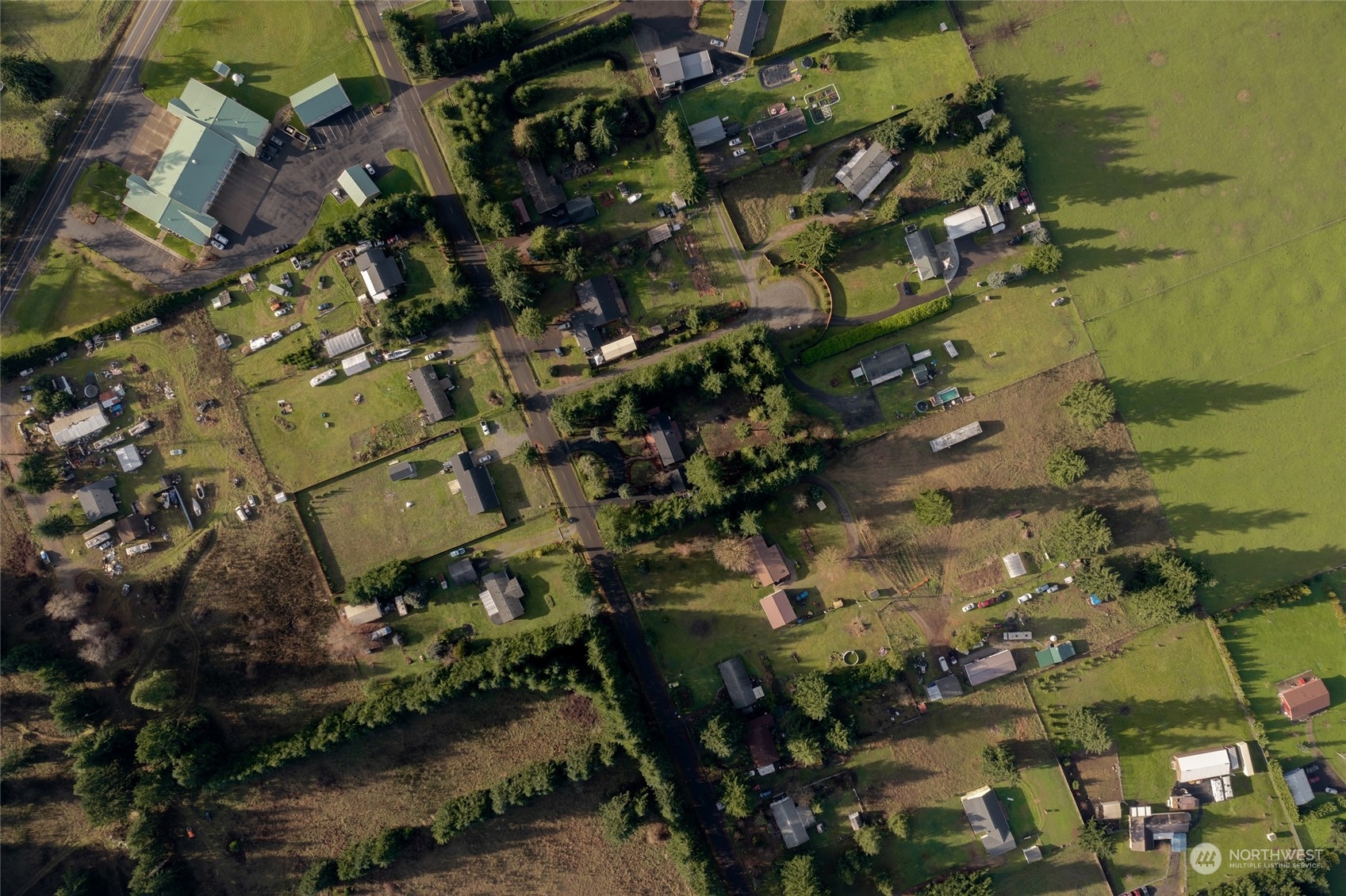 7020 187th Avenue Southwest Rochester, WA 98579 - Photo 35 of 40 a picture of flowers