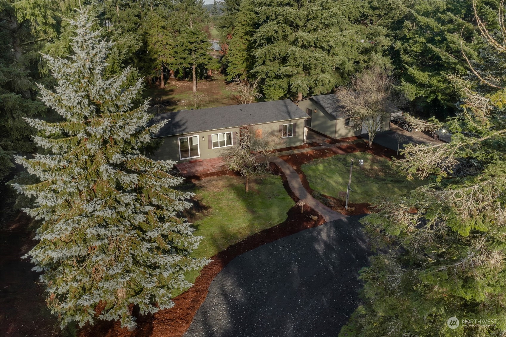 7020 187th Avenue Southwest Rochester, WA 98579 - Photo 37 of 40 a view of a yard with plants and large trees