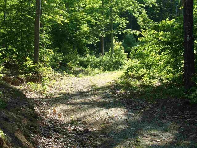Lot 24 Granite Road Ossipee, NH 03864 - Photo 3 of 6