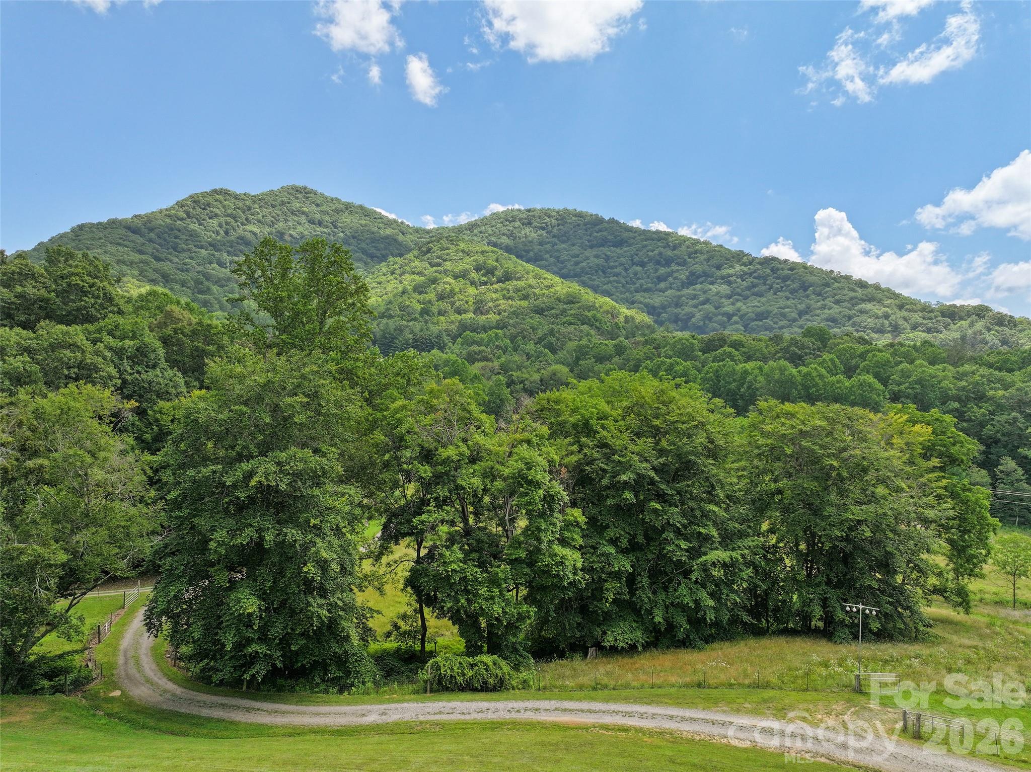 81 Aldens Way Clyde, NC 28721 - Photo 6 of 48