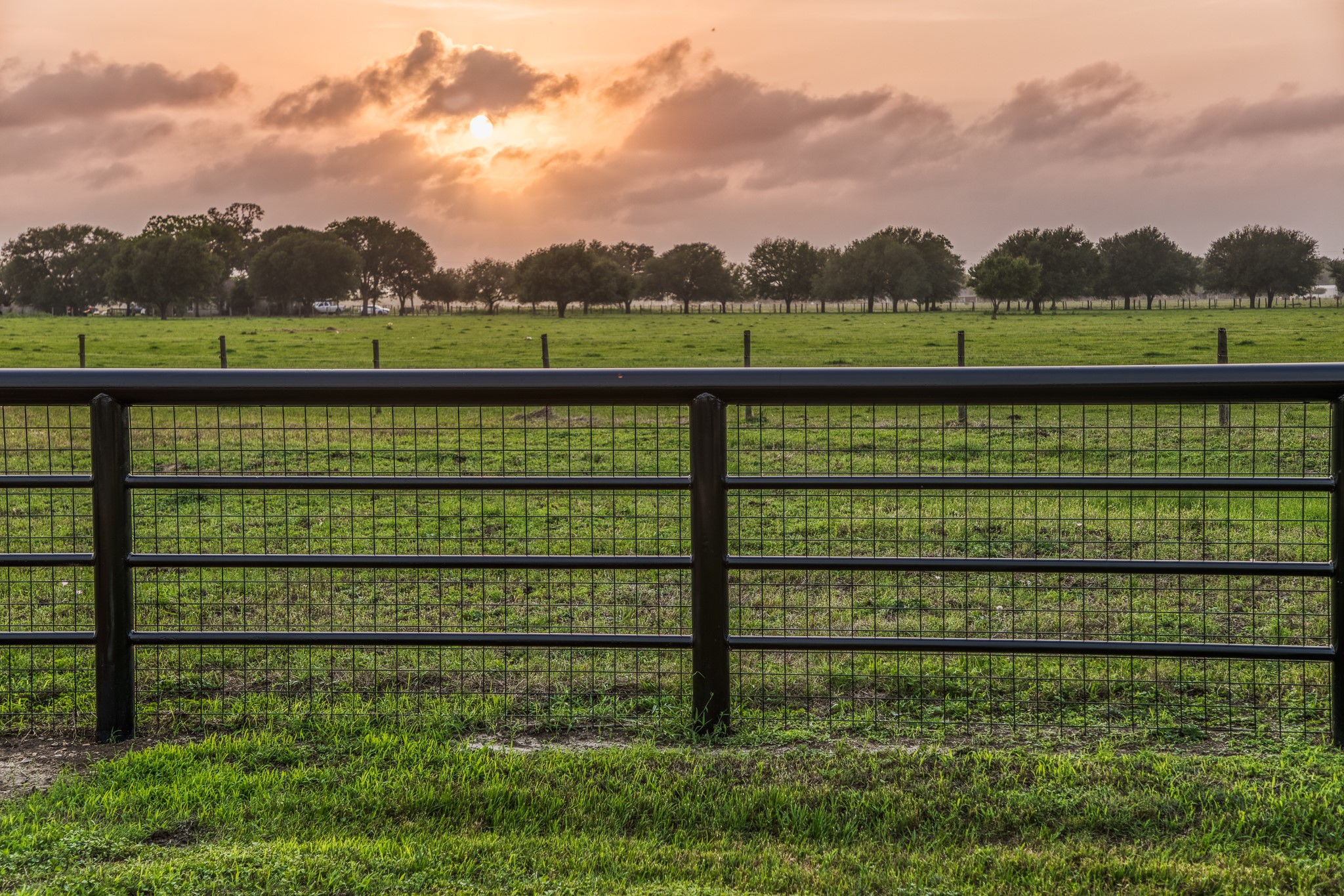 6868 FM 360 Road Needville, TX 77461 - Photo 46 of 48