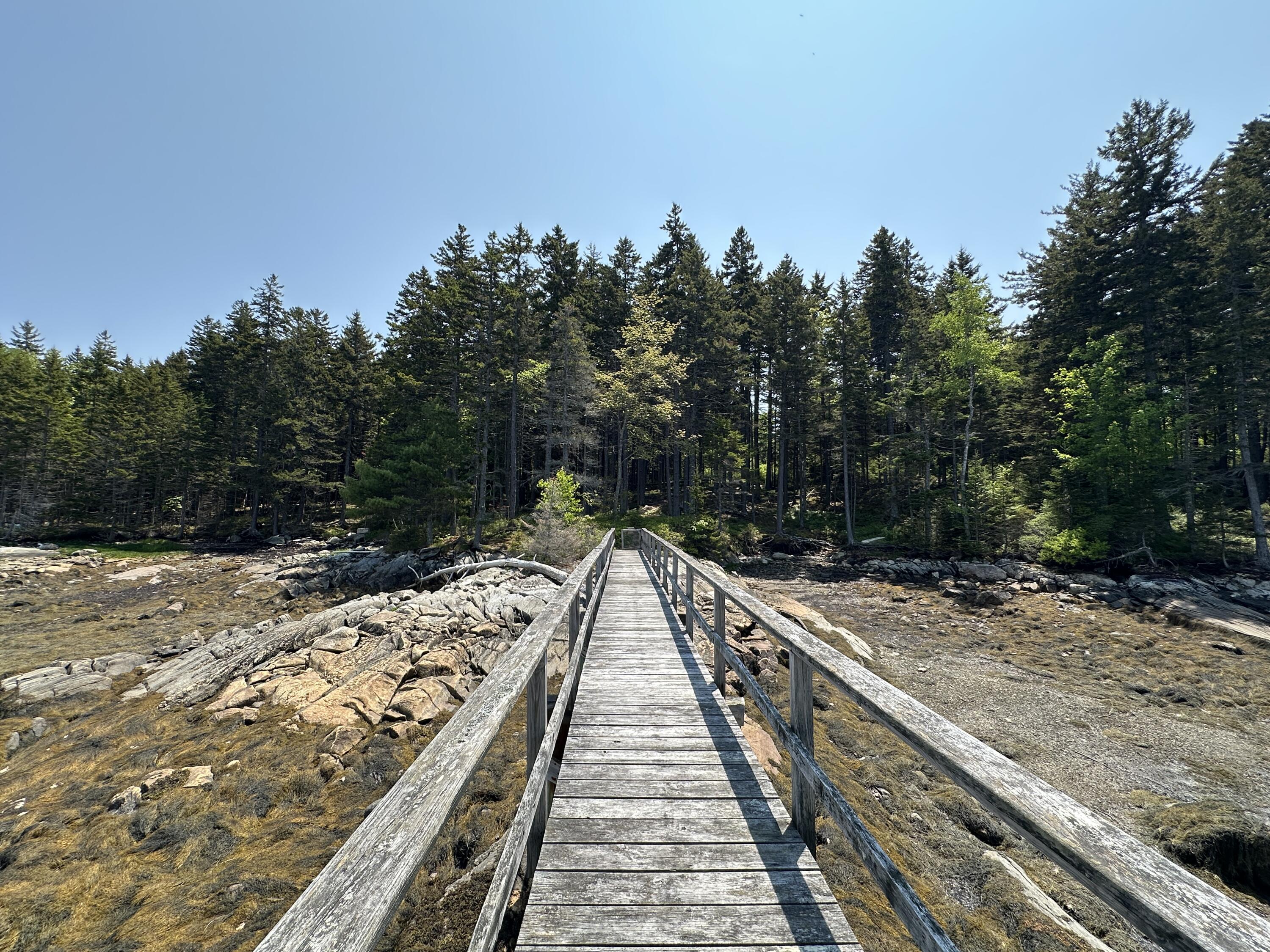 Lot 5 Waymouth Road Tenants Harbor, ME 04860 - Photo 55 of 56 Dock at Low Tide