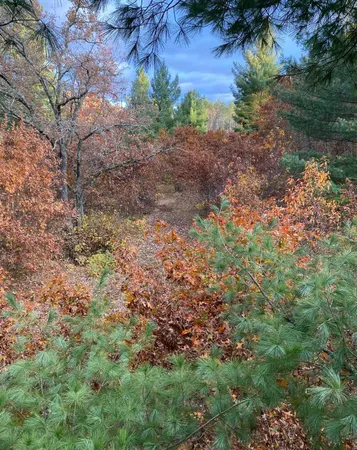 $285,000 | 14523 Bistram Road, Grantsburg, WI 54840