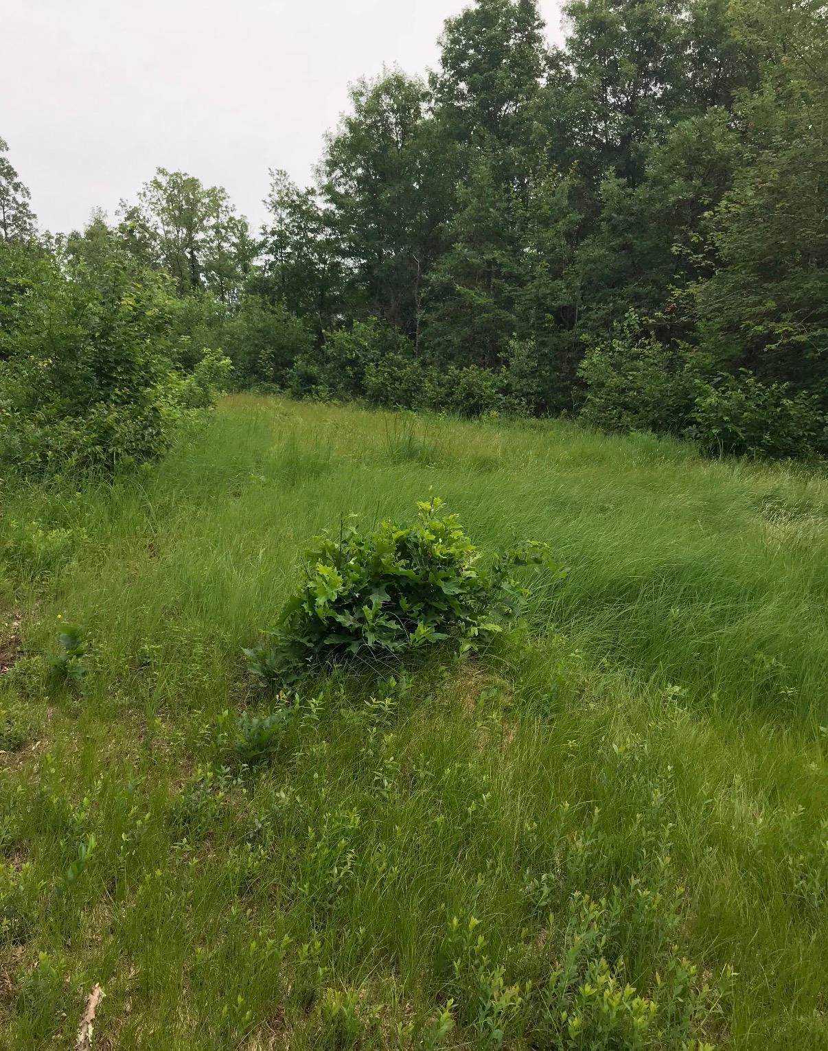 14523 Bistram Road Grantsburg, WI 54840 - Photo 23 of 34