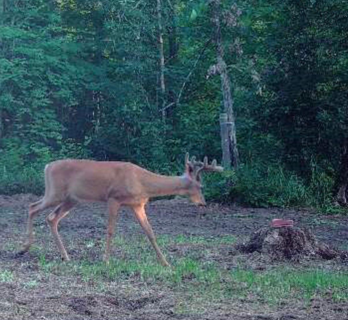 14523 Bistram Road Grantsburg, WI 54840 - Photo 26 of 34