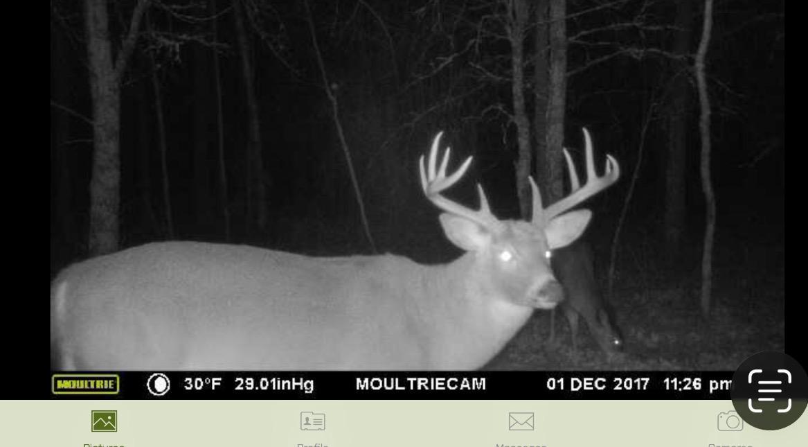 14523 Bistram Road Grantsburg, WI 54840 - Photo 27 of 34