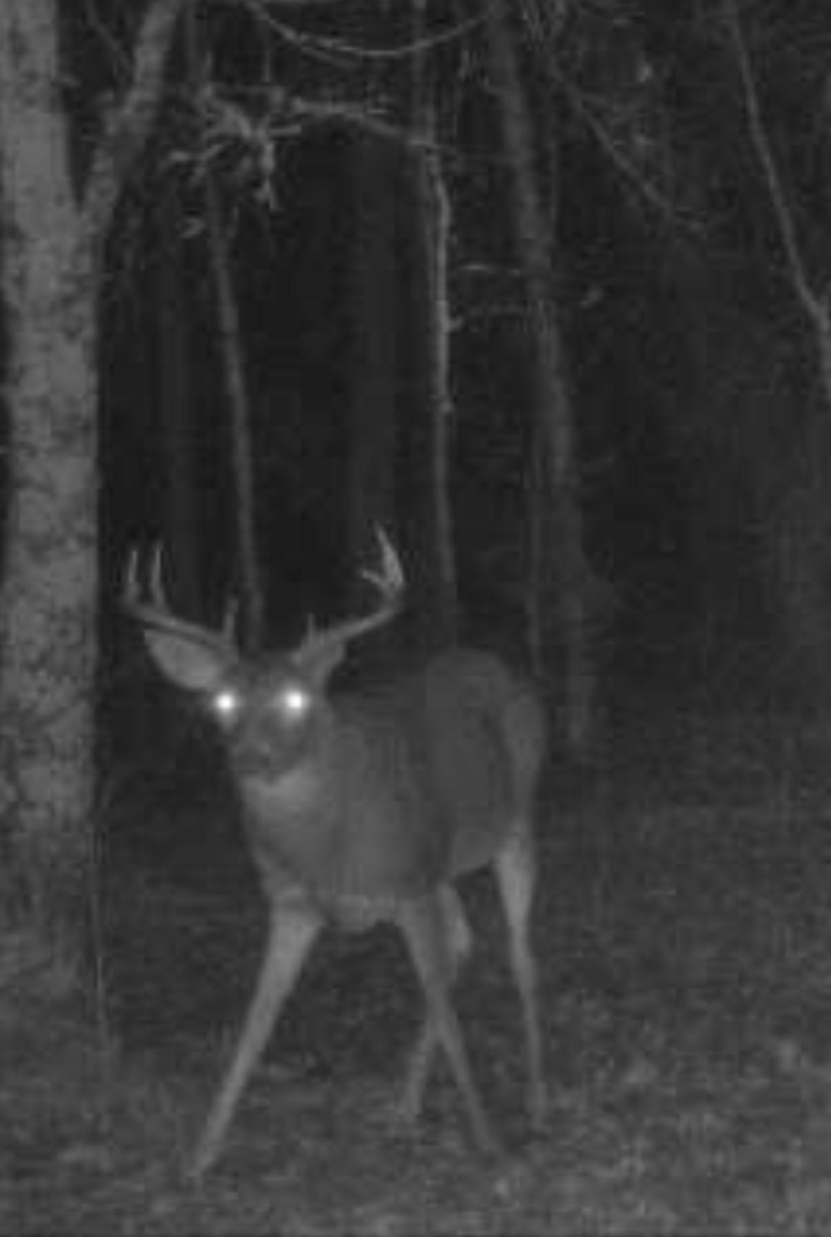 14523 Bistram Road Grantsburg, WI 54840 - Photo 28 of 34