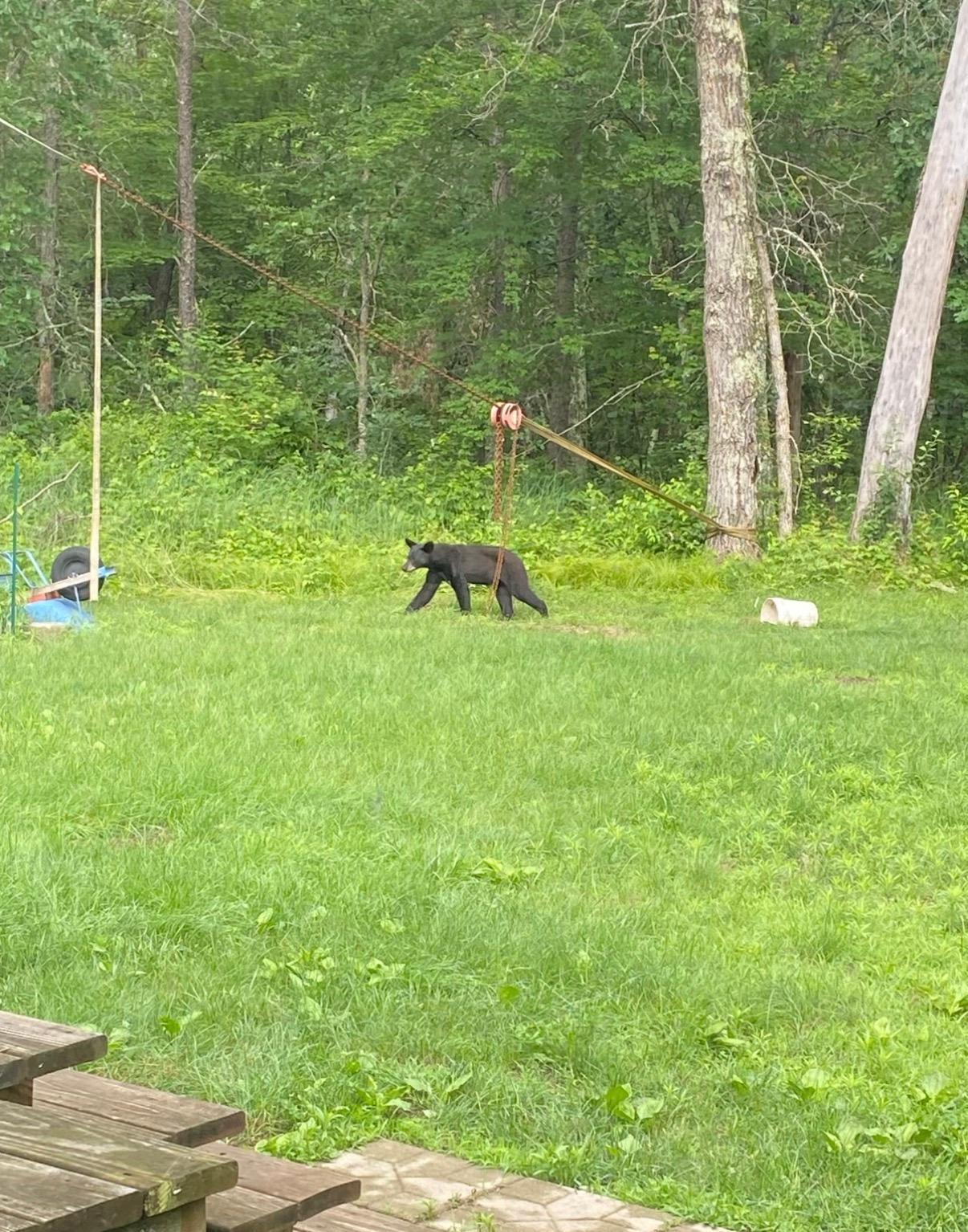 14523 Bistram Road Grantsburg, WI 54840 - Photo 7 of 34