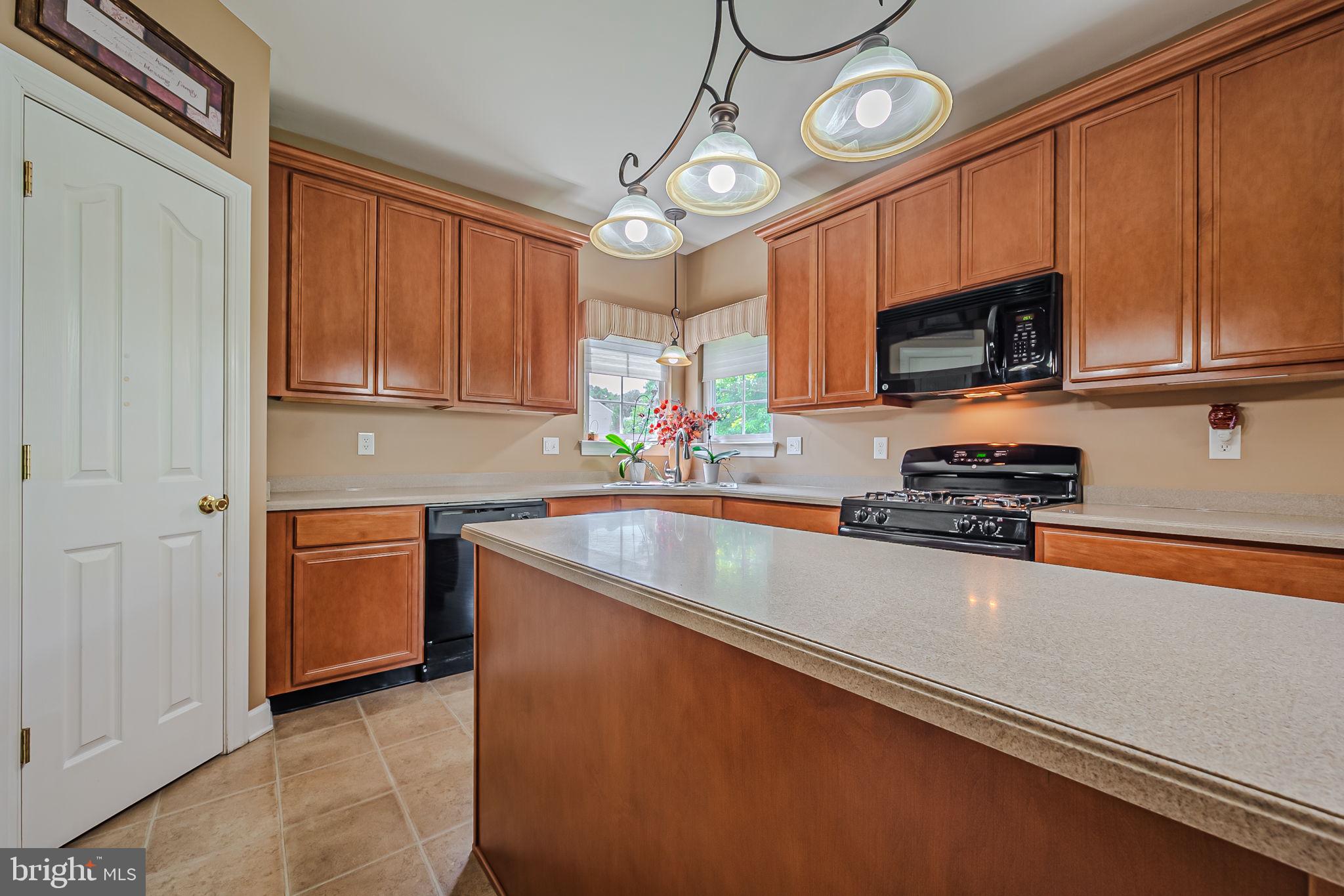 233 Foxglove Loop Bear, DE 19701 - Photo 16 of 48