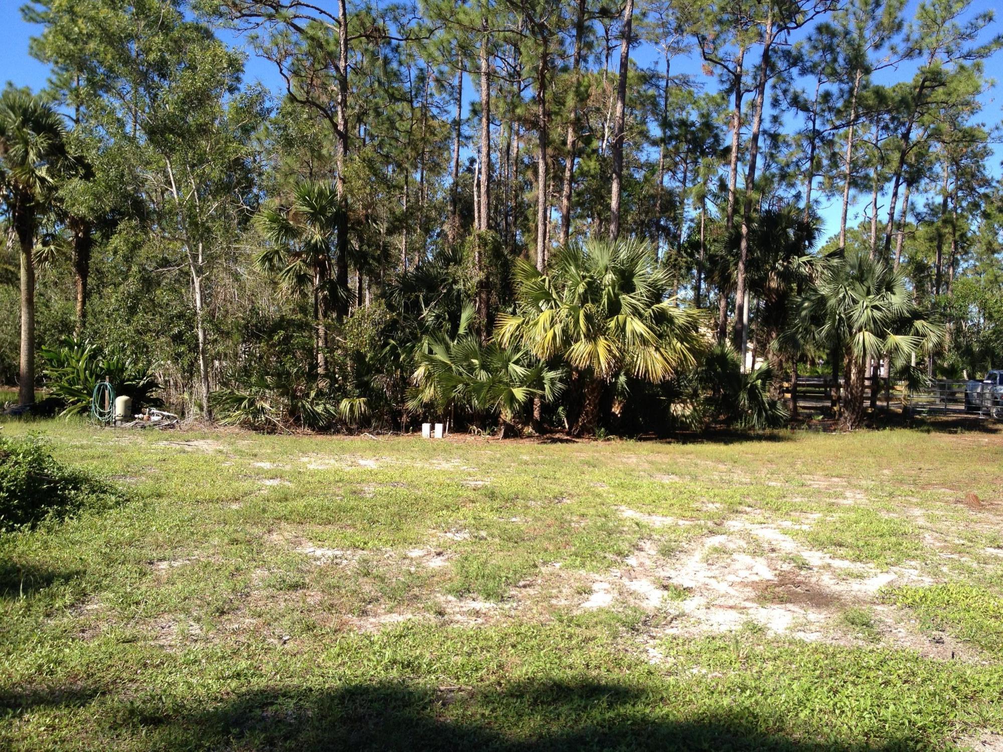 0 E Road Loxahatchee, FL 33470 - Photo 5 of 11 IMG_5951