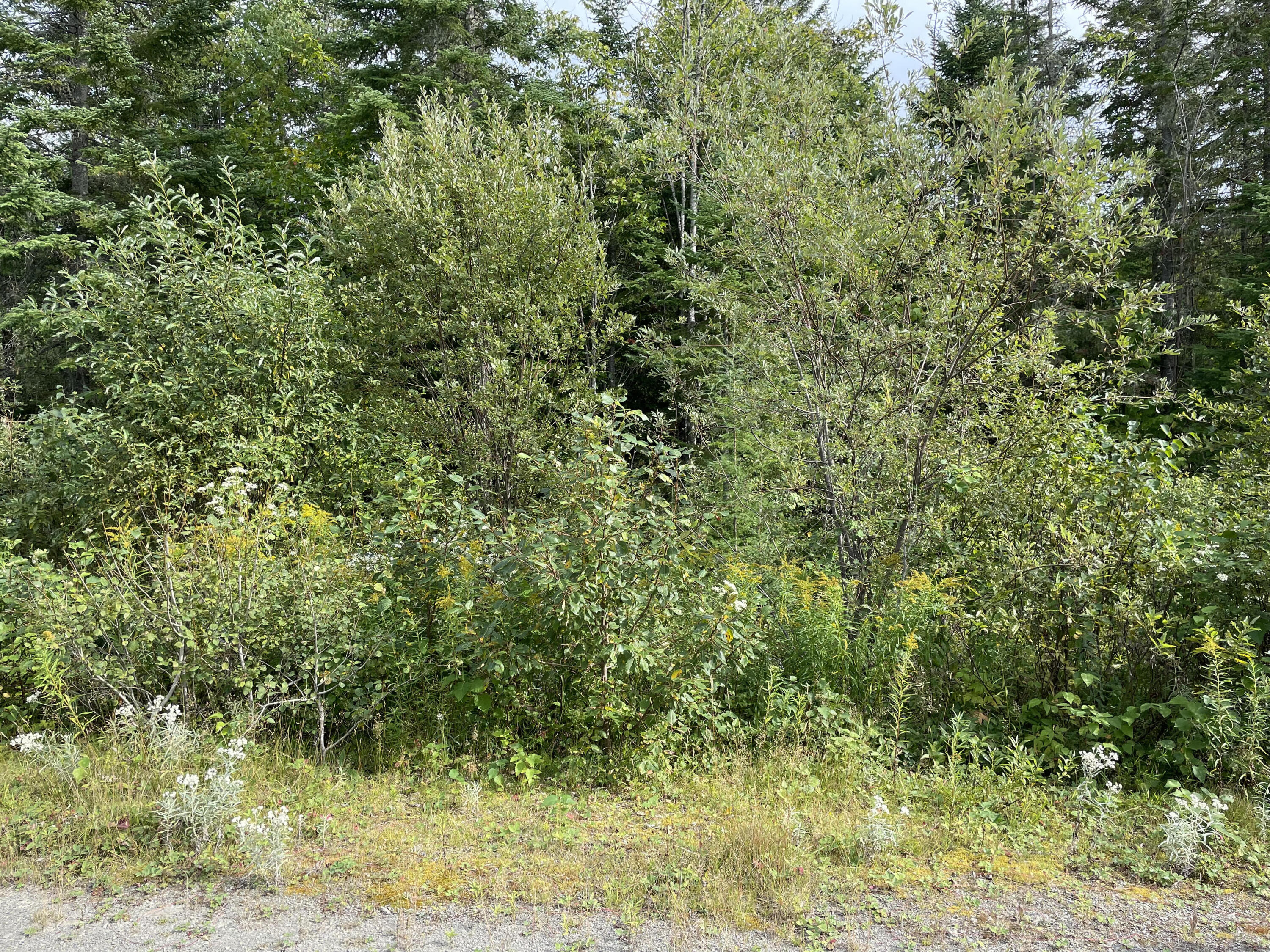 0 Franklin School Road Fort Kent, ME 04743 - Photo 14 of 15 pic 12