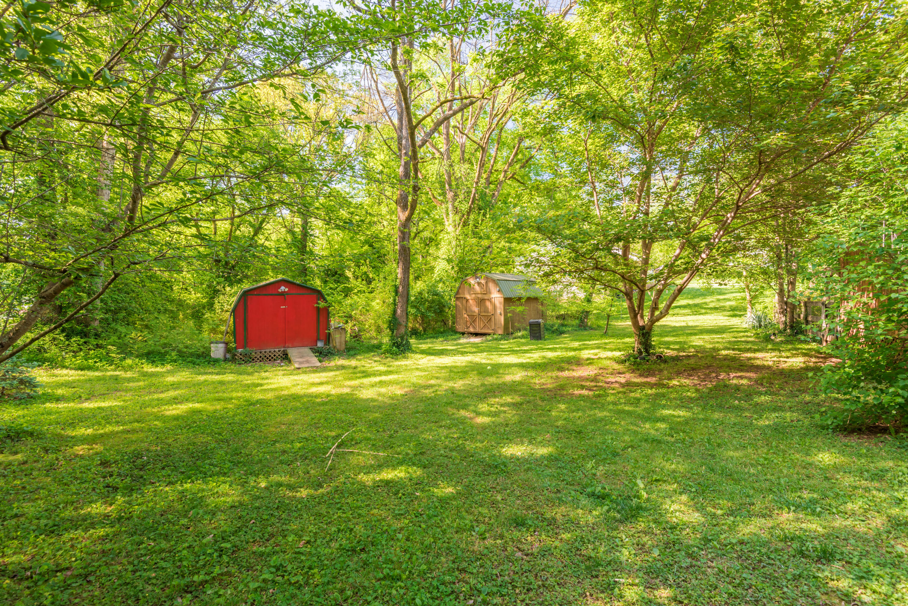 3545 Williams Mill Road Rockford, TN 37853 - Photo 3 of 35 Level Back Yard