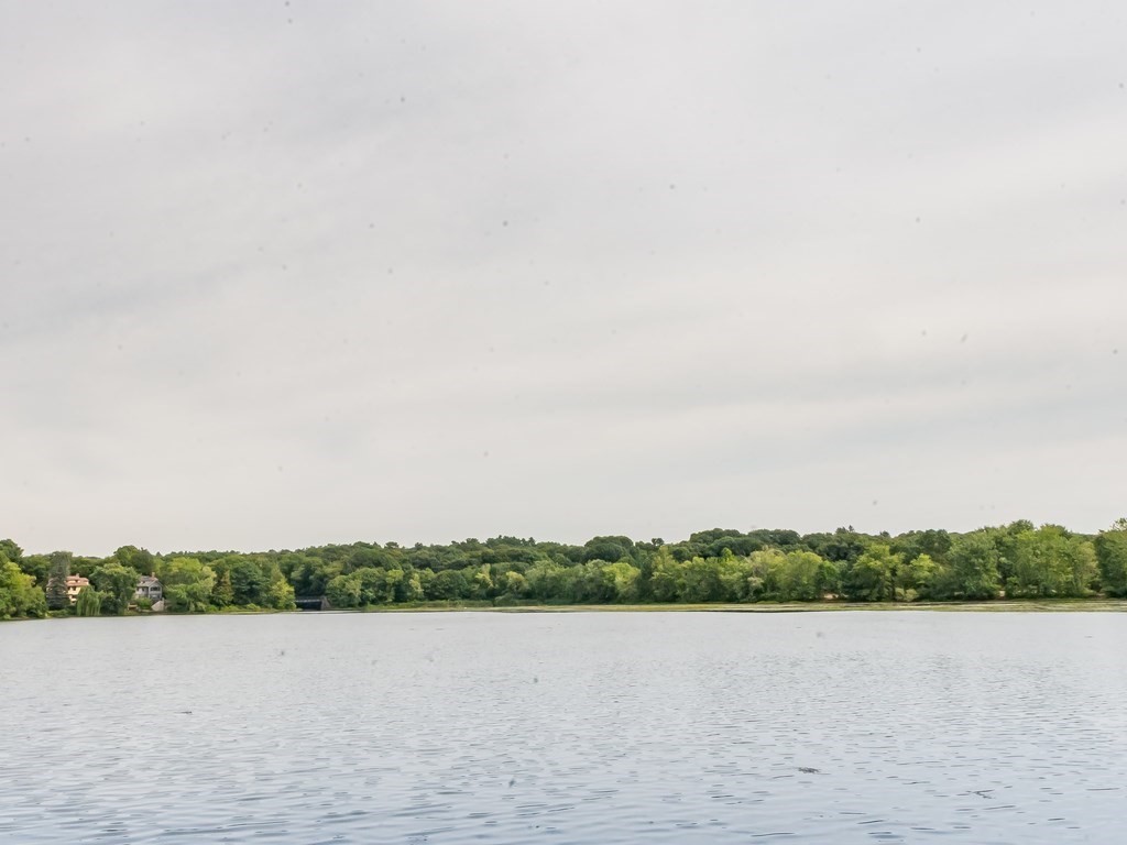 34 Everett Avenue Winchester, MA 01890 - Photo 4 of 42