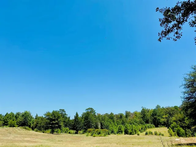 $250,000 | 13701 North Us Highway, Palestine, TX 75801