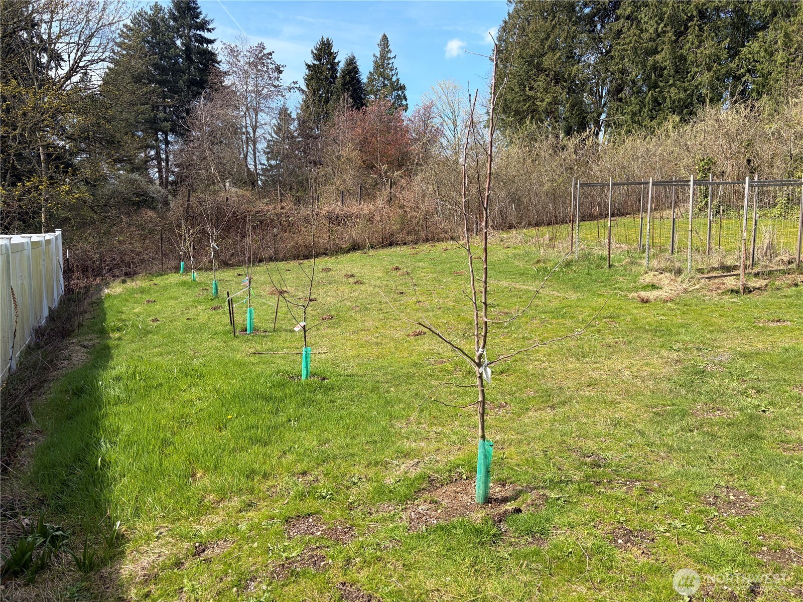 7411 South Langston Road Seattle, WA 98178 - Photo 27 of 34