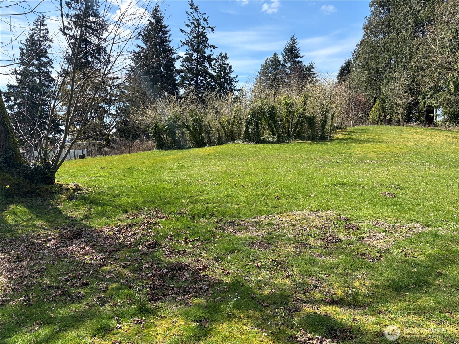 7411 South Langston Road Seattle, WA 98178 - Photo 7 of 34