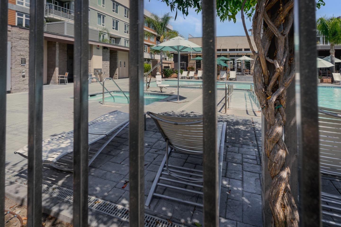 862 White Moonstone Loop San Jose, CA 95123 - Photo 46 of 54