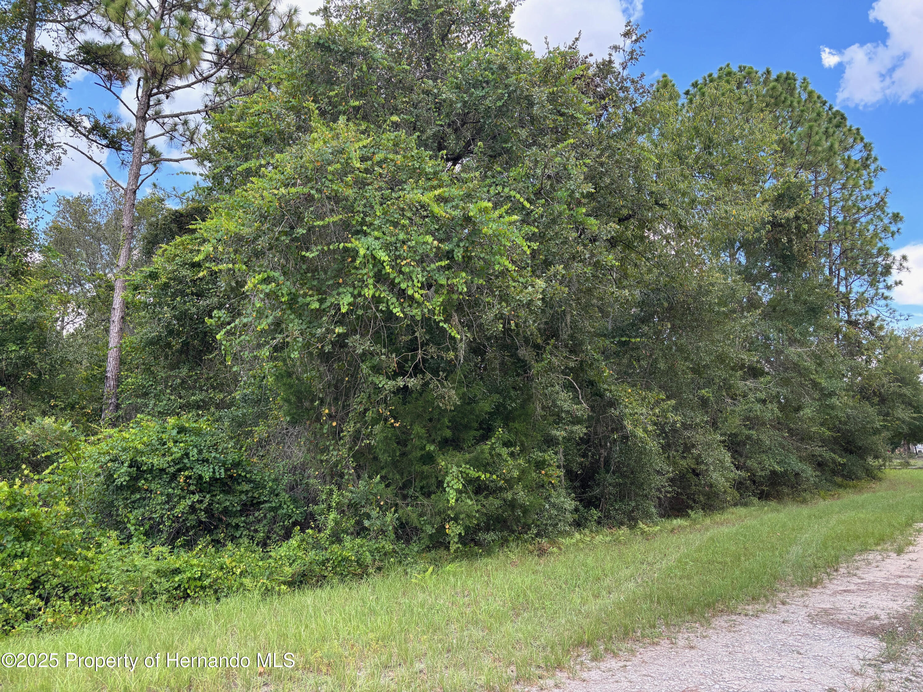 Lot 1 Canvasback Road Weeki Wachee, FL 34614 - Photo 7 of 11