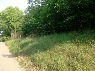 West Garbow Road, Unit PAR50 Middleville, MI 49333 - Photo 1 of 1 Primary Photo