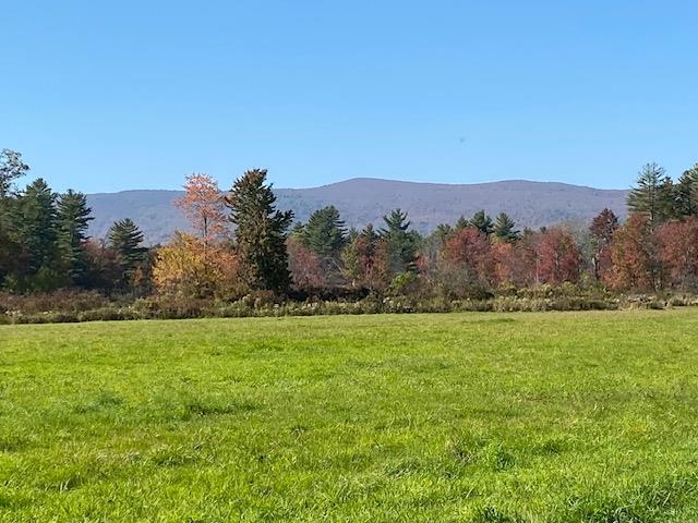44 Pleasant View Road Bradford, NH 03221 - Photo 6 of 19
