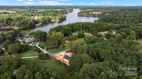 an aerial view of green landscape with trees houses and lake view