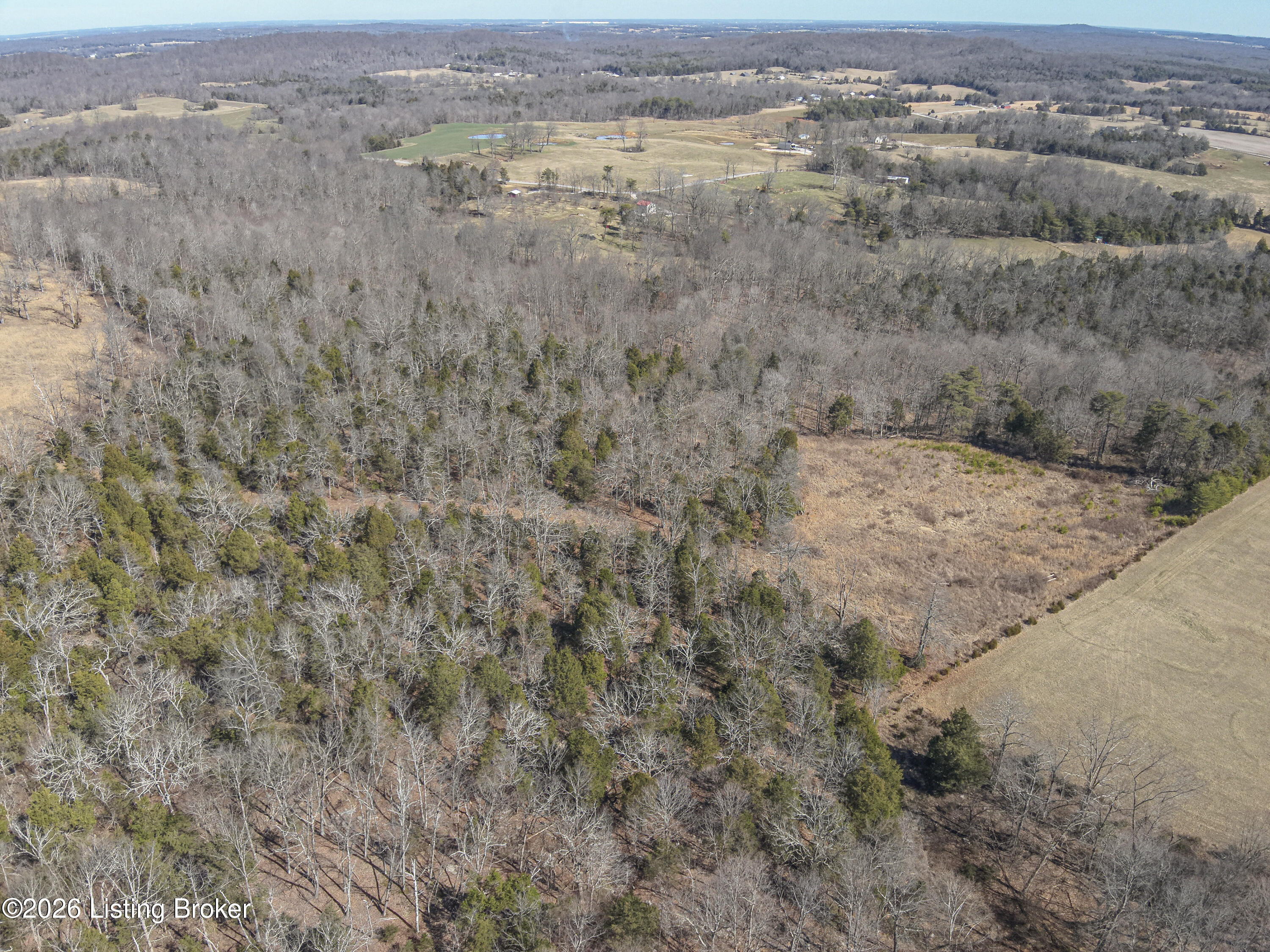 1842 East Millerstown Road Upton, KY 42784 - Photo 10 of 27 4-DJI_20260228121052_0010_W