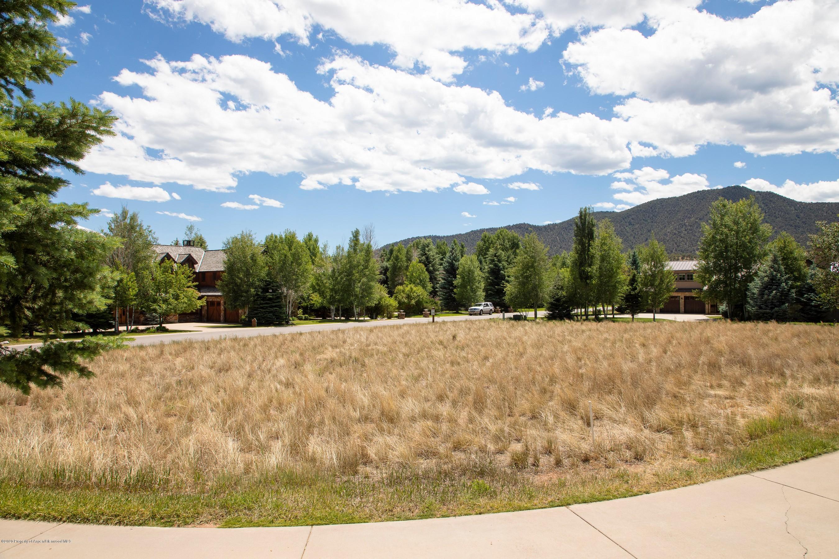 57 Diamond A Ranch Road, Unit WEST Carbondale, CO 81623 - Photo 4 of 13 a view of outdoor space and yard