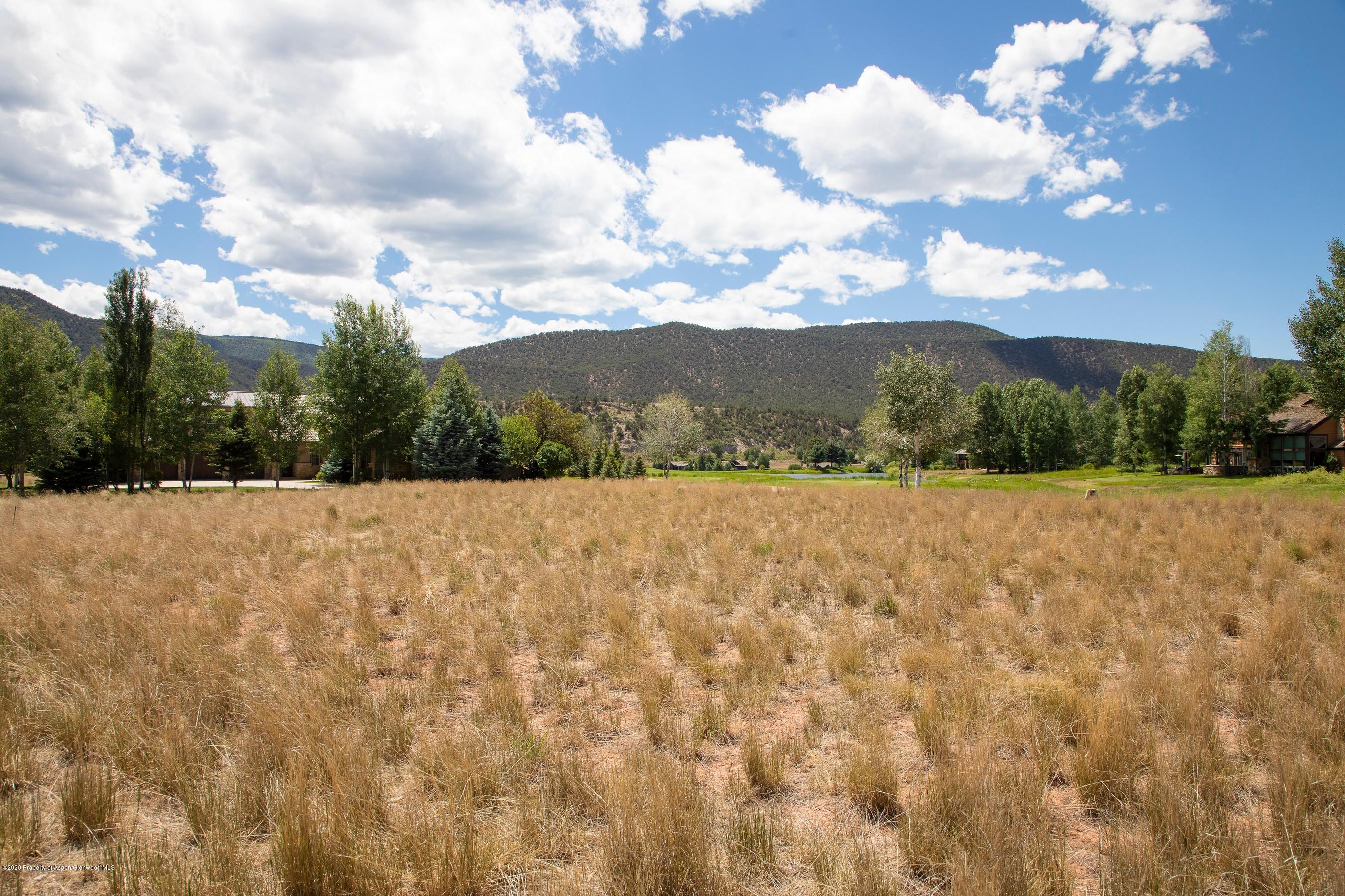 57 Diamond A Ranch Road, Unit WEST Carbondale, CO 81623 - Photo 5 of 13 a view of outdoor space and mountain view