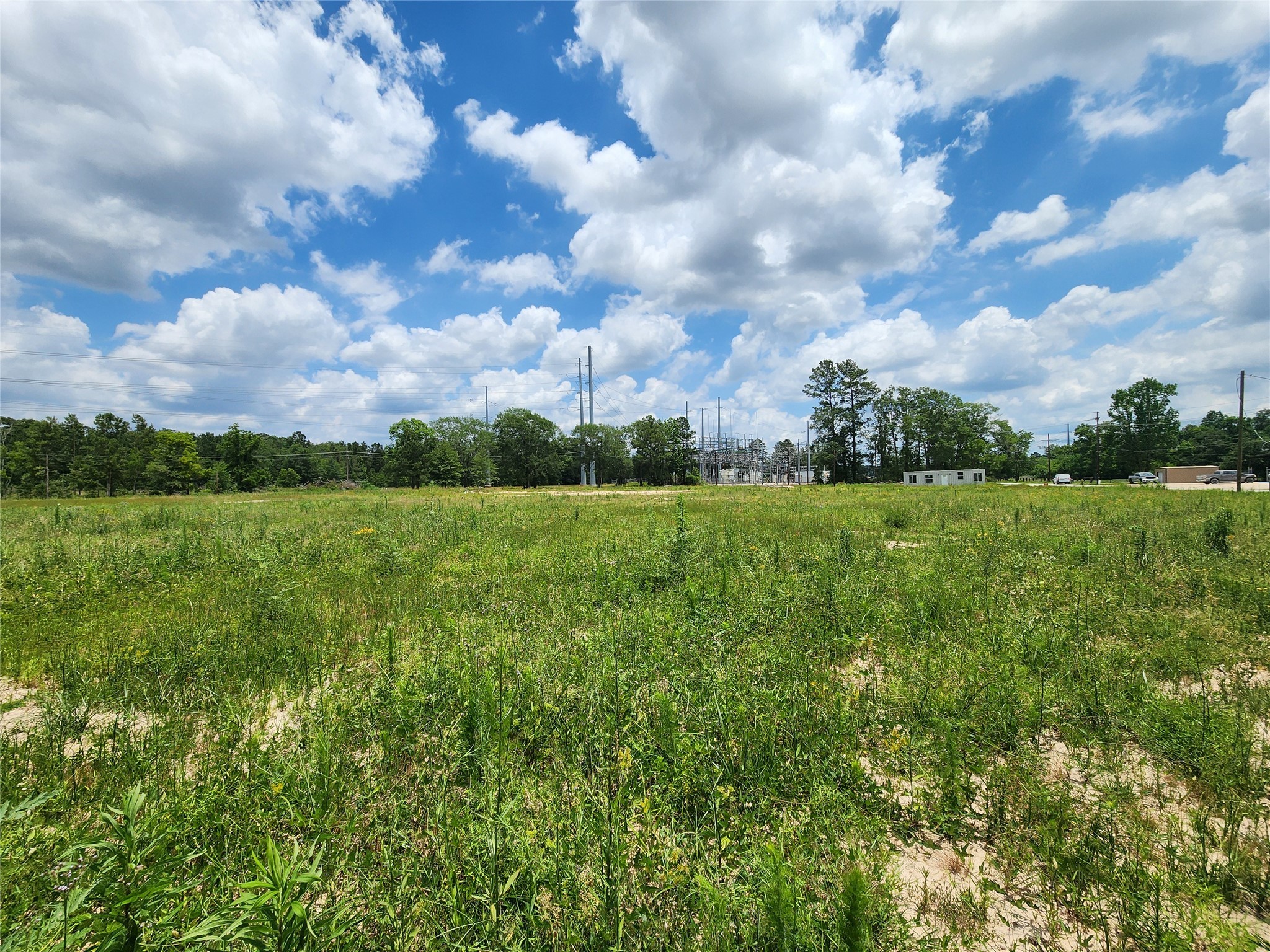 15015 Calhoun Road Conroe, TX 77302 - Photo 4 of 31 a view of a big yard with plants and large trees