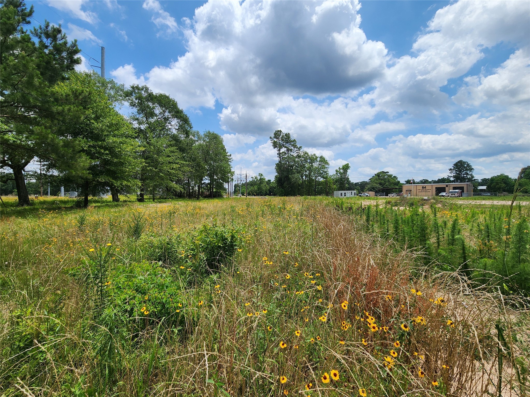 15015 Calhoun Road Conroe, TX 77302 - Photo 7 of 31 a view of a lake with a big yard