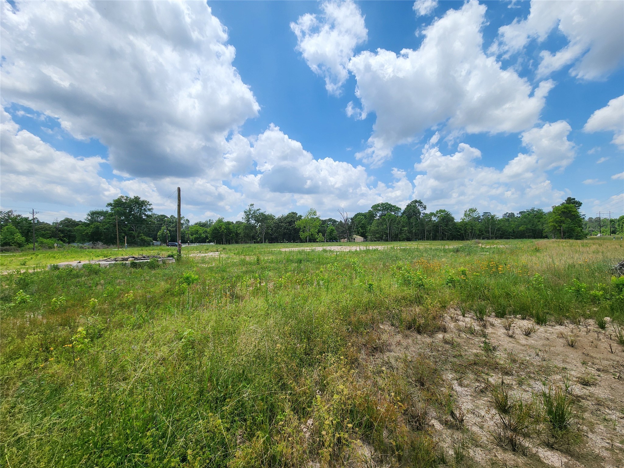 15015 Calhoun Road Conroe, TX 77302 - Photo 10 of 31 a view of a lake and a yard