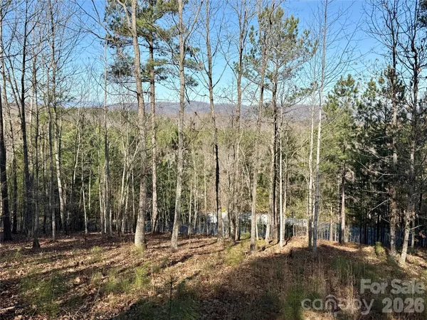 a view of backyard with green space