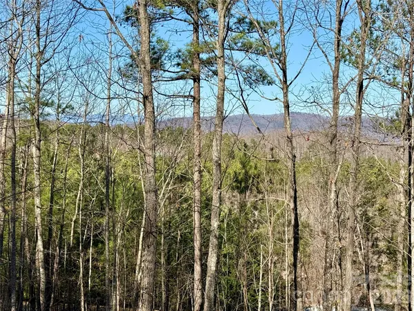 a view of outdoor space with deck and trees