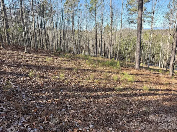 a view of backyard with green space