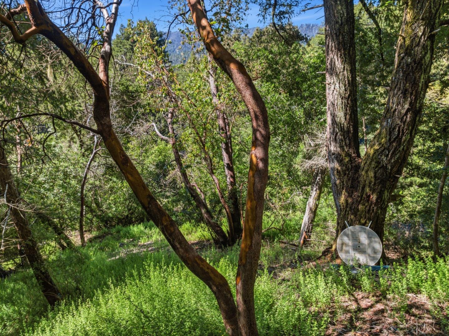 360 Rincon Way Boulder Creek, CA 95006 - Photo 30 of 46