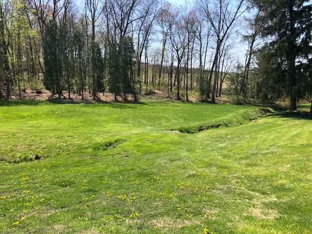 104 Srader Grove Road Freeport, PA 16229 - Photo 7 of 32 a view of a park with large trees